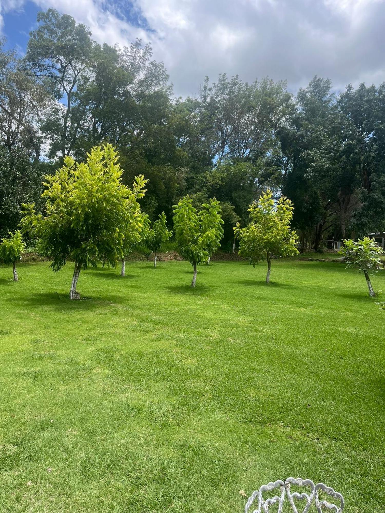 Cabanas Cumbres De Aguacatitla Уаска-де-Окампо Экстерьер фото