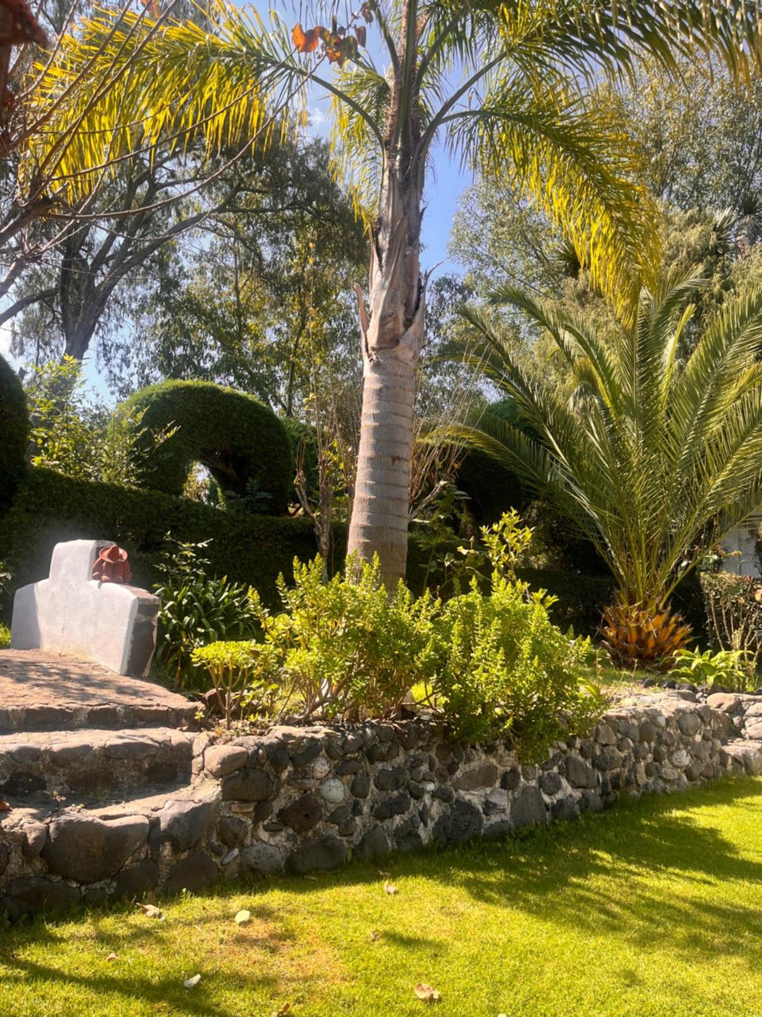 Cabanas Cumbres De Aguacatitla Уаска-де-Окампо Экстерьер фото