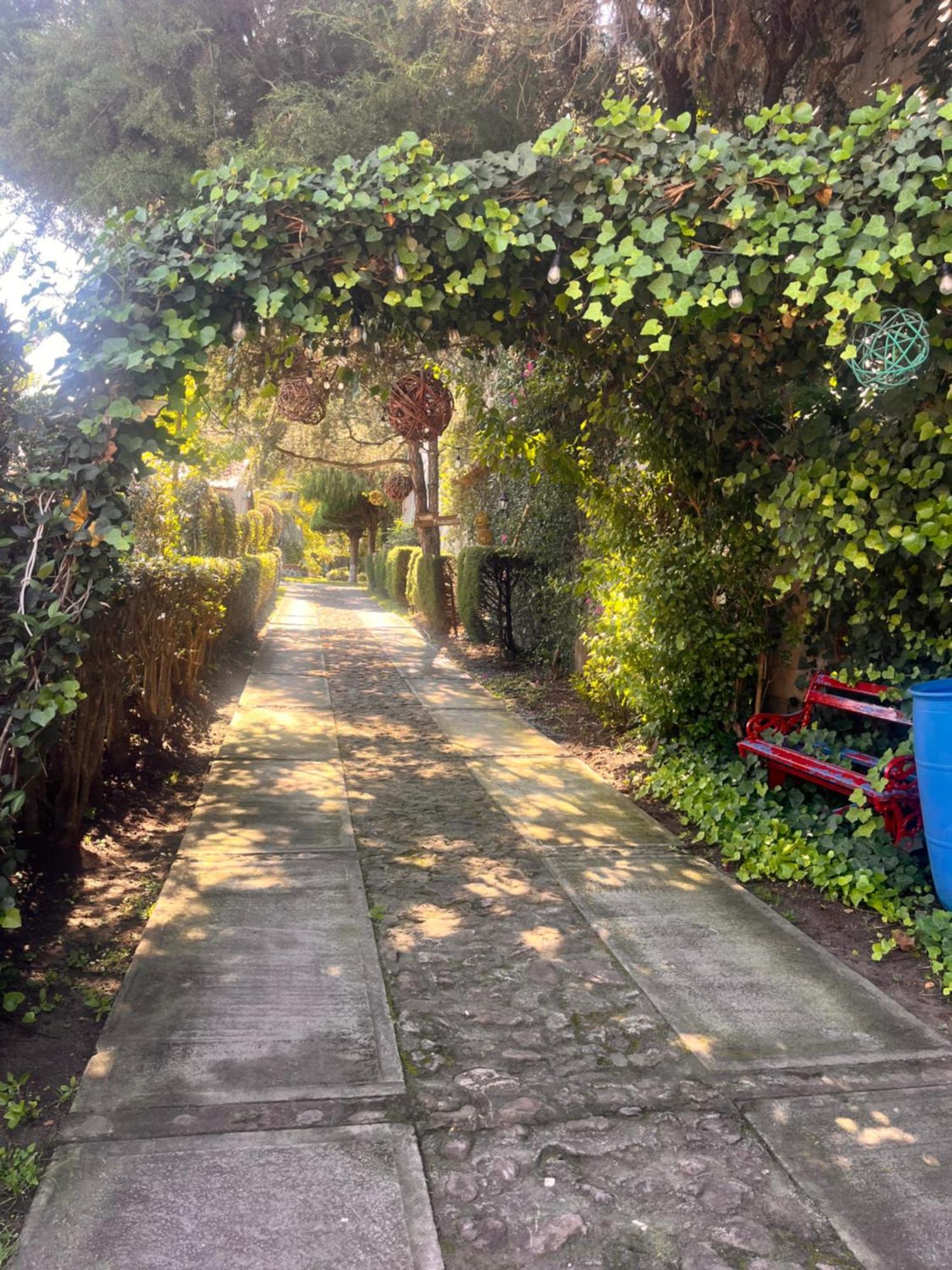 Cabanas Cumbres De Aguacatitla Уаска-де-Окампо Экстерьер фото