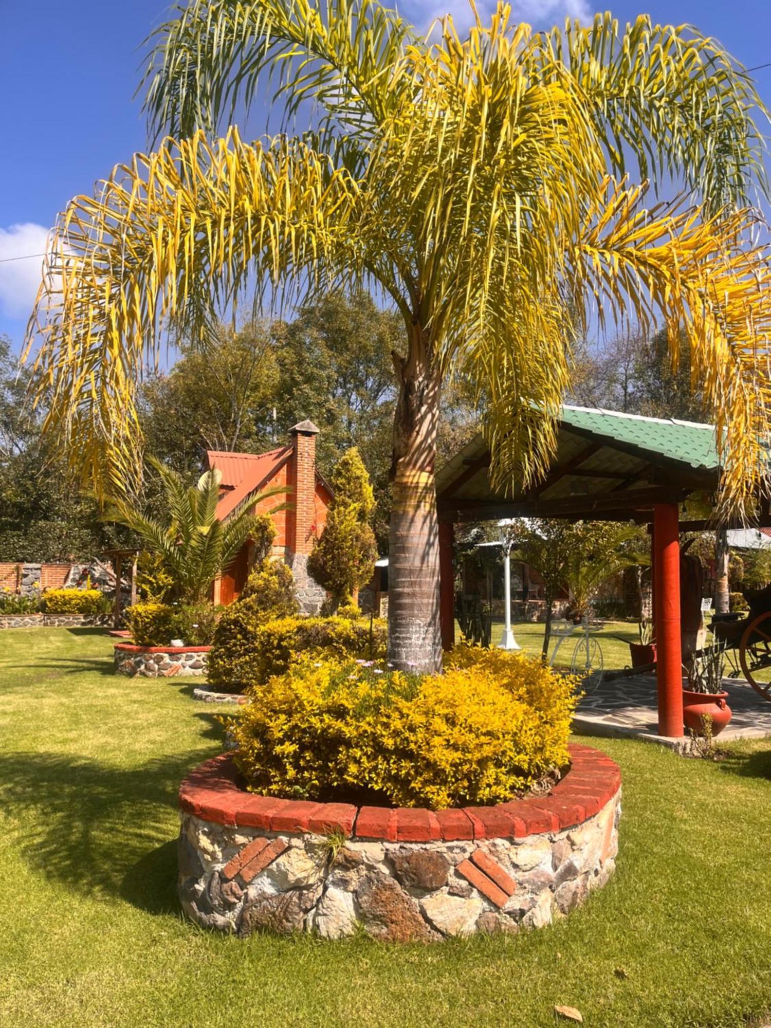 Cabanas Cumbres De Aguacatitla Уаска-де-Окампо Экстерьер фото