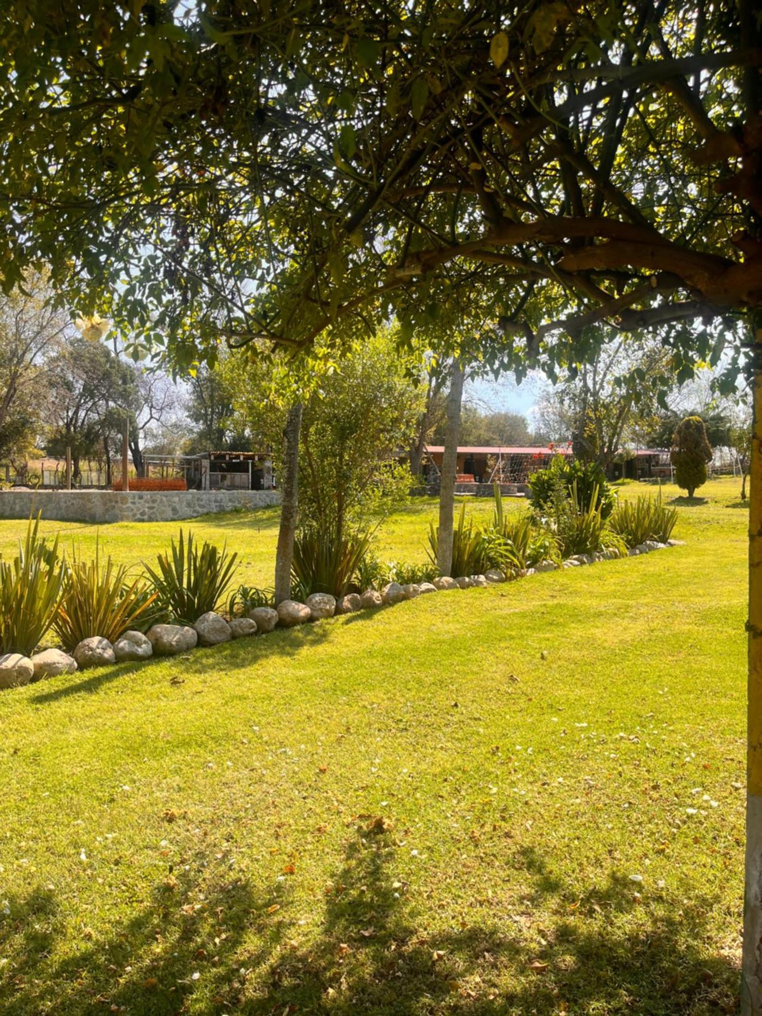 Cabanas Cumbres De Aguacatitla Уаска-де-Окампо Экстерьер фото