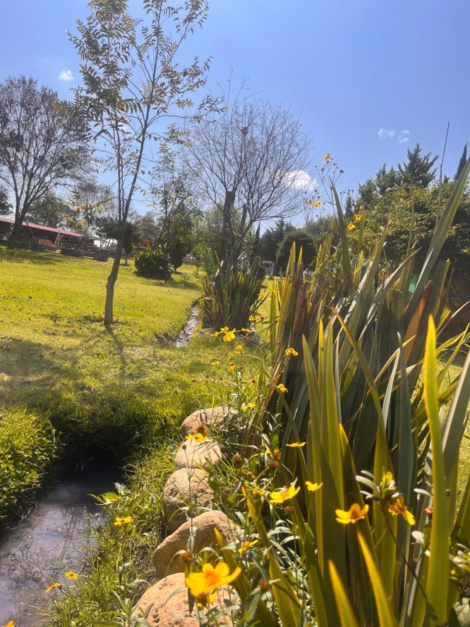 Cabanas Cumbres De Aguacatitla Уаска-де-Окампо Экстерьер фото