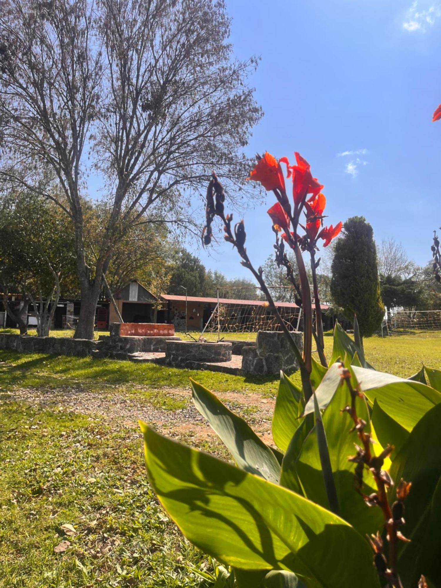 Cabanas Cumbres De Aguacatitla Уаска-де-Окампо Экстерьер фото