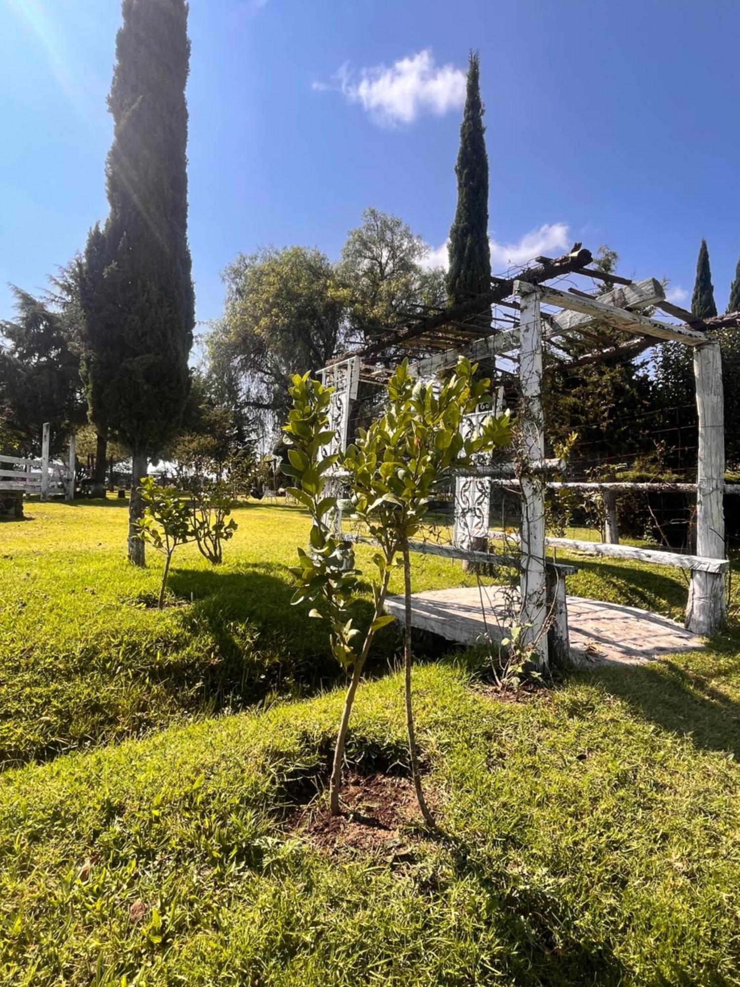 Cabanas Cumbres De Aguacatitla Уаска-де-Окампо Экстерьер фото