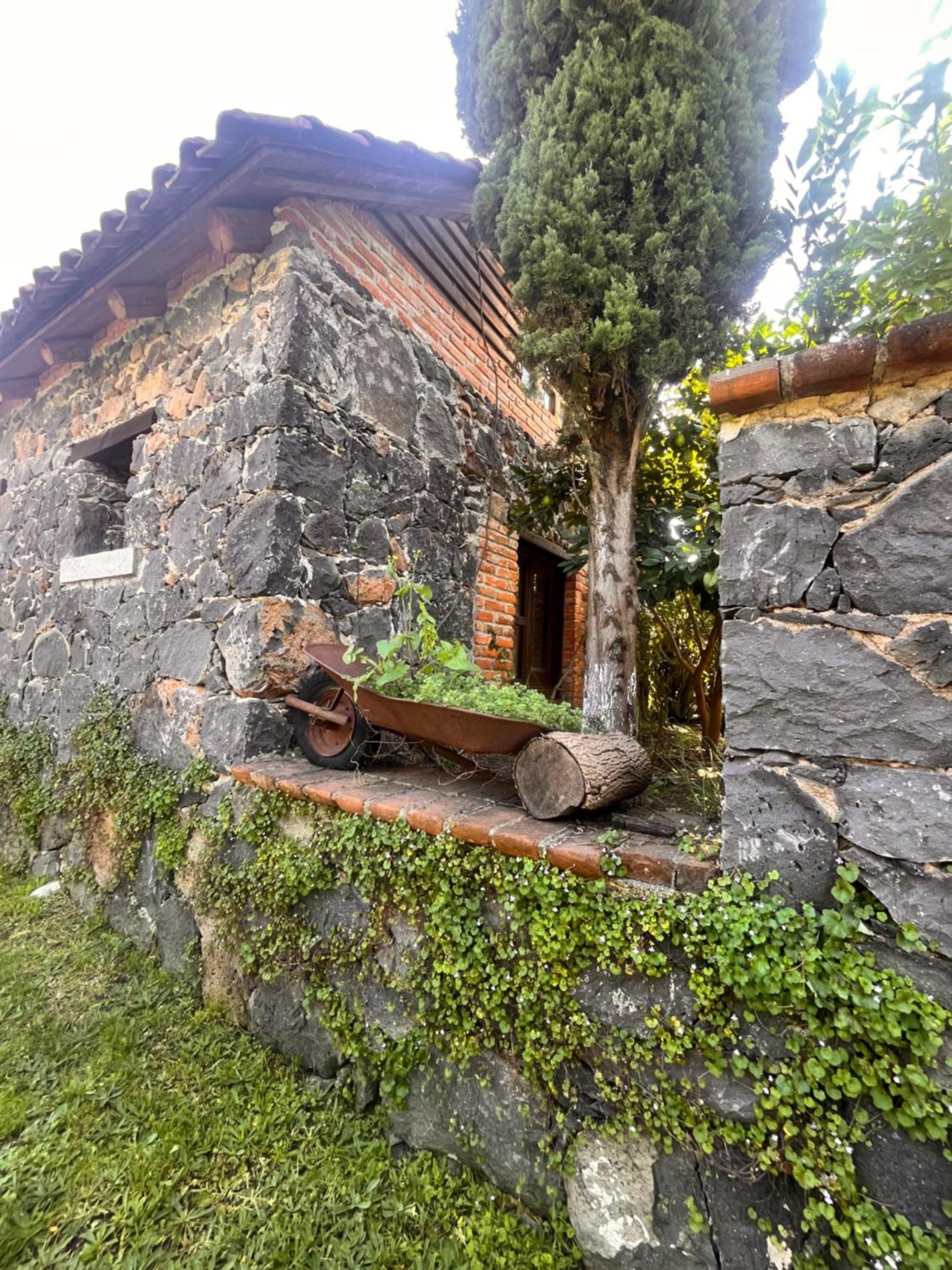 Cabanas Cumbres De Aguacatitla Уаска-де-Окампо Экстерьер фото
