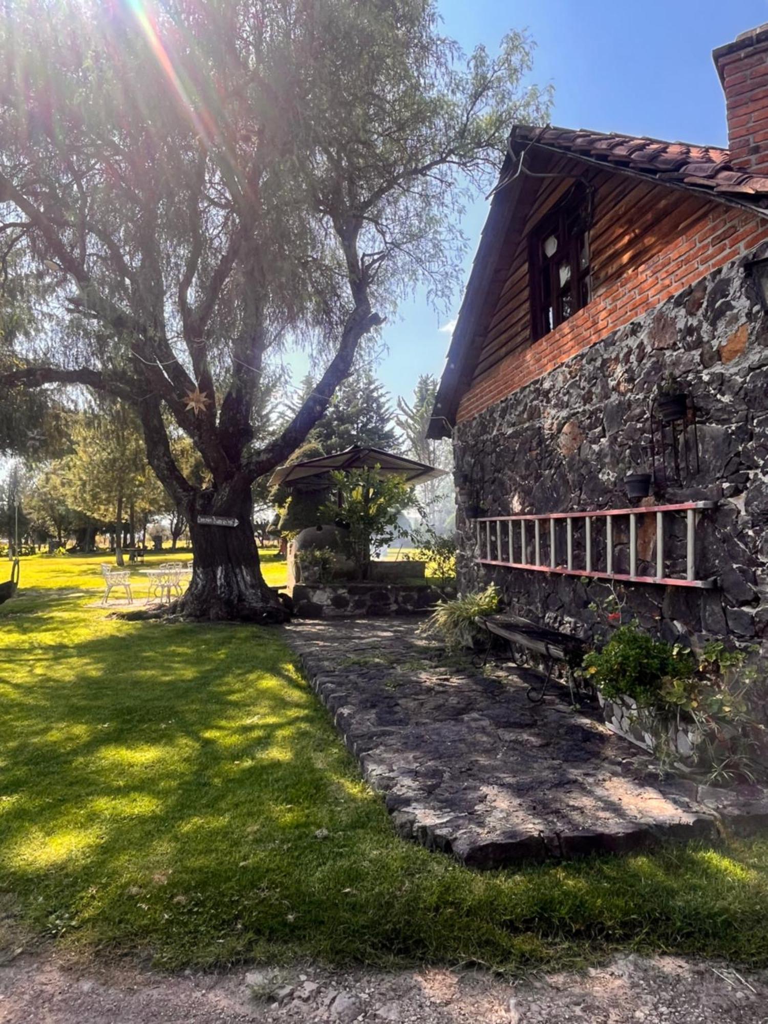 Cabanas Cumbres De Aguacatitla Уаска-де-Окампо Экстерьер фото